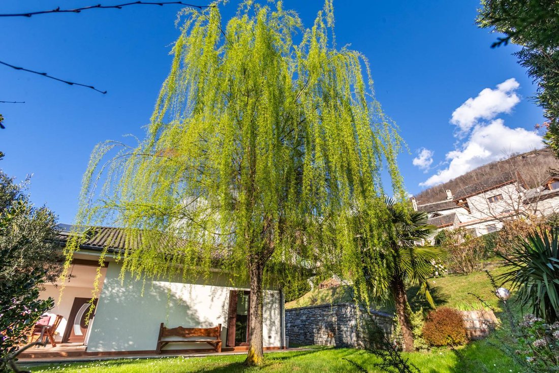 Villa in Masera, Piedmont, Italy 5 - 17924468