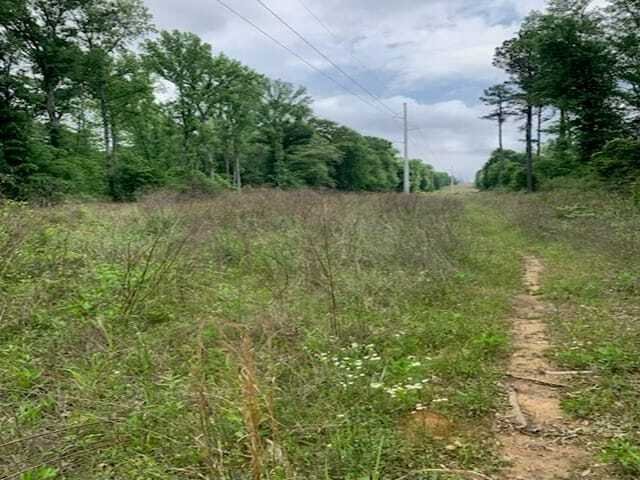 Land in Tyler, Texas, United States 4 - 17924742