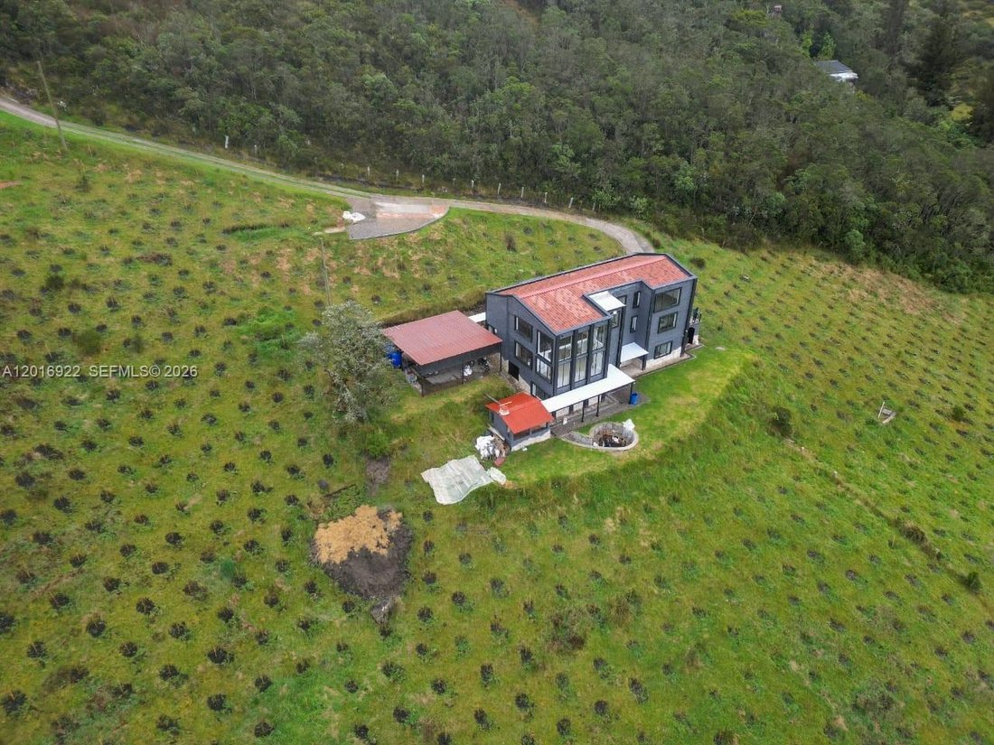 House in FL, United States 4 - 17917996