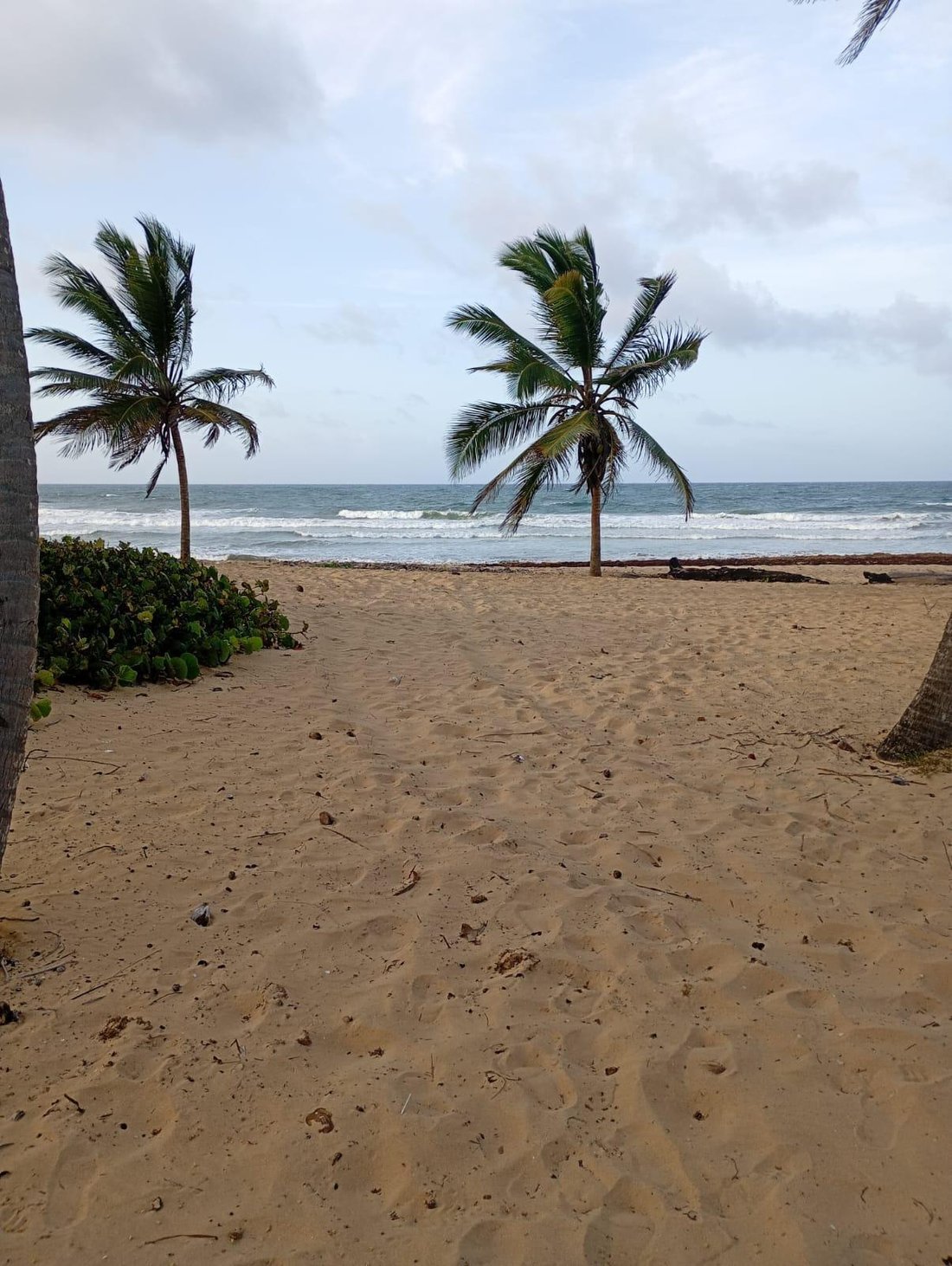 Juanillo, La Altagracia Province, Dominican Republic 1 - 17923437