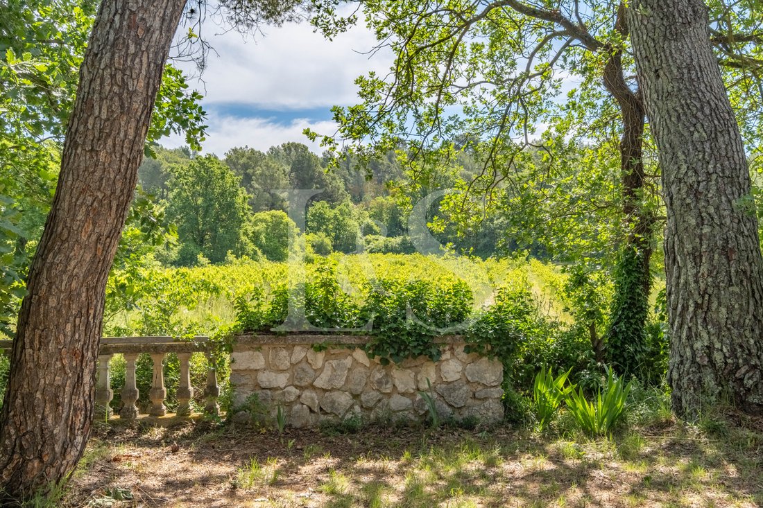 Castle in Nevons-route d'Apt, L'Isle-sur-la-Sorgue, France 4 - 17923236