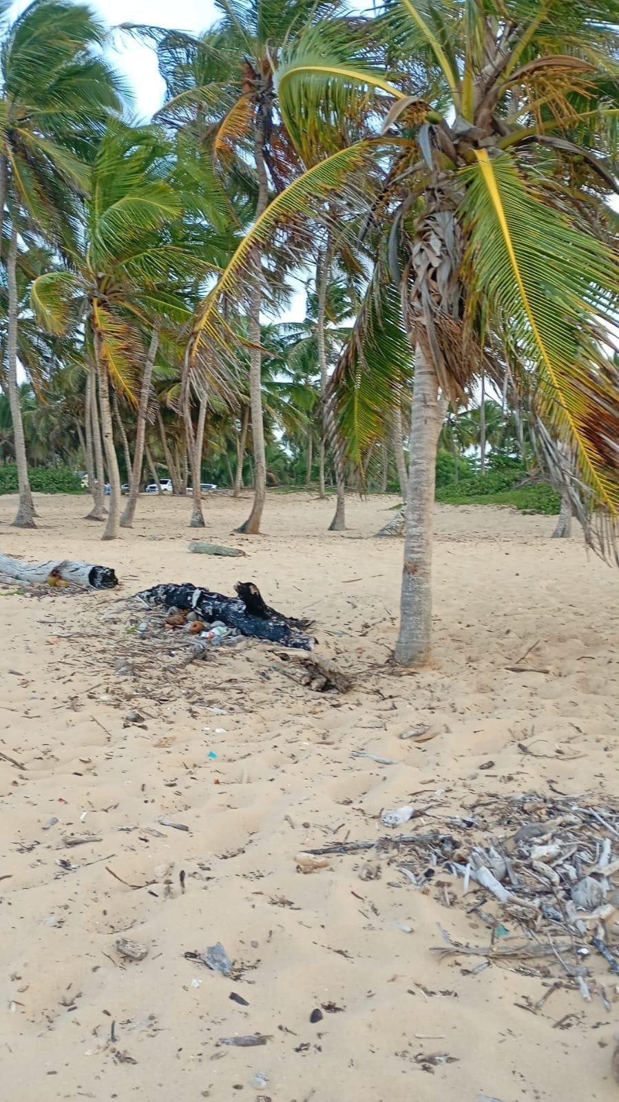 Juanillo, La Altagracia Province, Dominican Republic 4 - 17923437