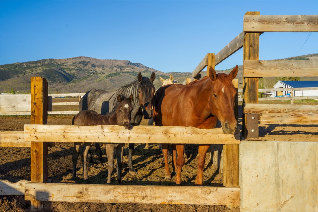 House in Kamas, Utah, United States 3 - 17921221