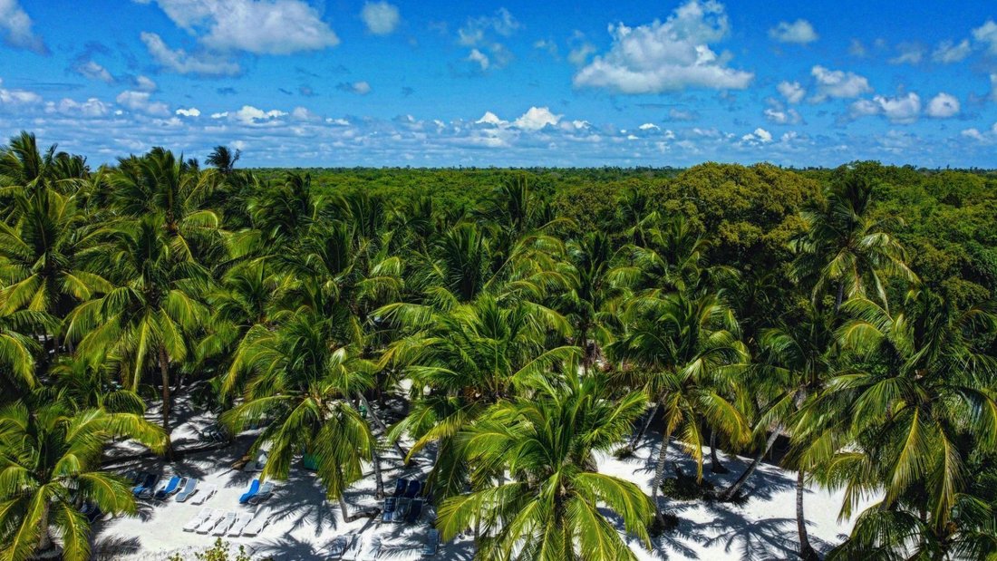 Autres à Lagunas de Nisibón, La Altagracia, République dominicaine 2 - 17923410