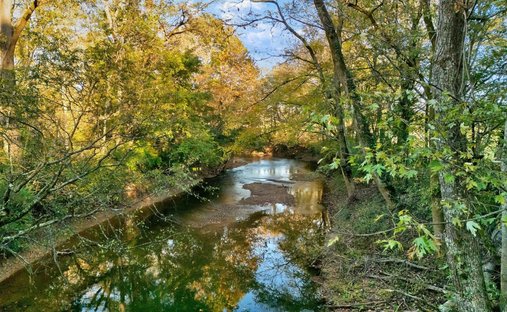 Land in Franklin, Tennessee, United States 1