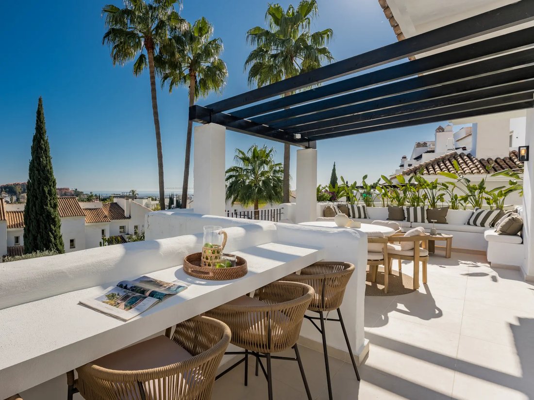 Apartment in Puerto Banus, Marbella, Spain 4 - 17923604