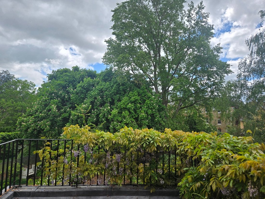 House in Park Town, Oxford, England 5 - 17918422