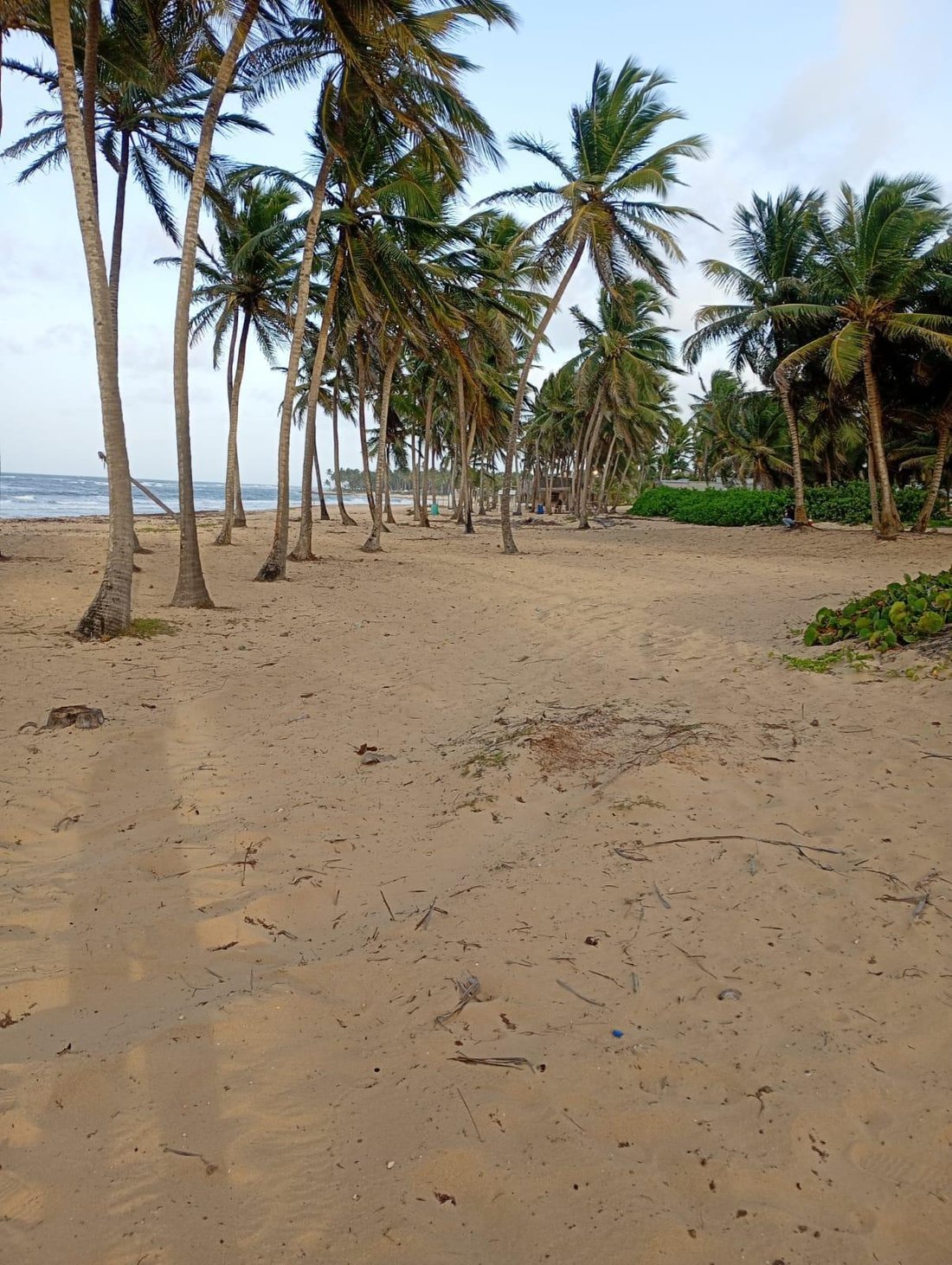 Juanillo, La Altagracia Province, Dominican Republic 2 - 17923437
