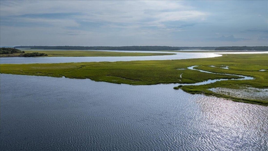 House in Edisto Island, South Carolina, United States 4 - 17924887