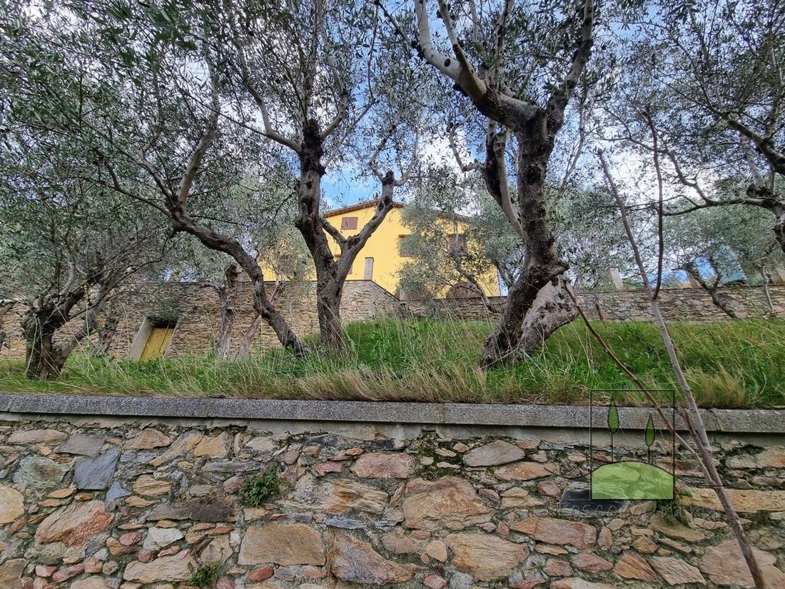 Country House in Calci, Tuscany, Italy 3 - 17919693