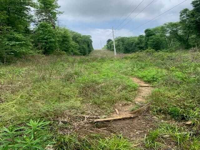Land in Tyler, Texas, United States 5 - 17924742