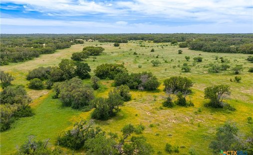 Farm Ranch in Mullin, Texas, United States 1