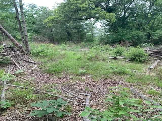 Land in Tyler, Texas, United States 3 - 17924742