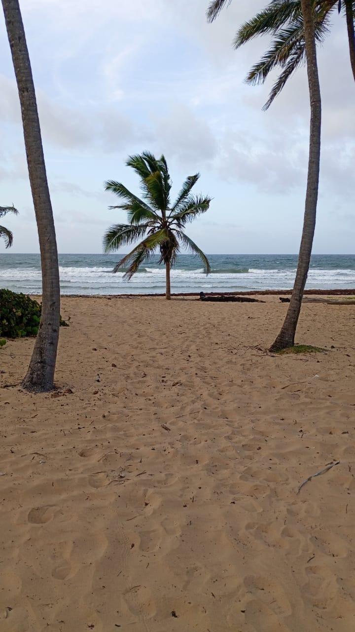 Juanillo, La Altagracia Province, Dominican Republic 5 - 17923437