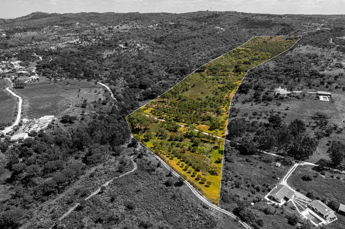 Land in Grandola e Santa Margarida da Serra, Setubal, Portugal 4 - 17860363