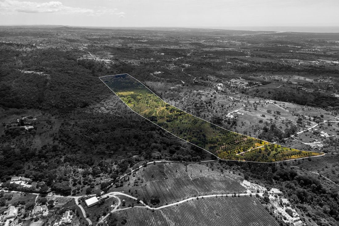 Land in Grandola e Santa Margarida da Serra, Setubal, Portugal 5 - 17860363