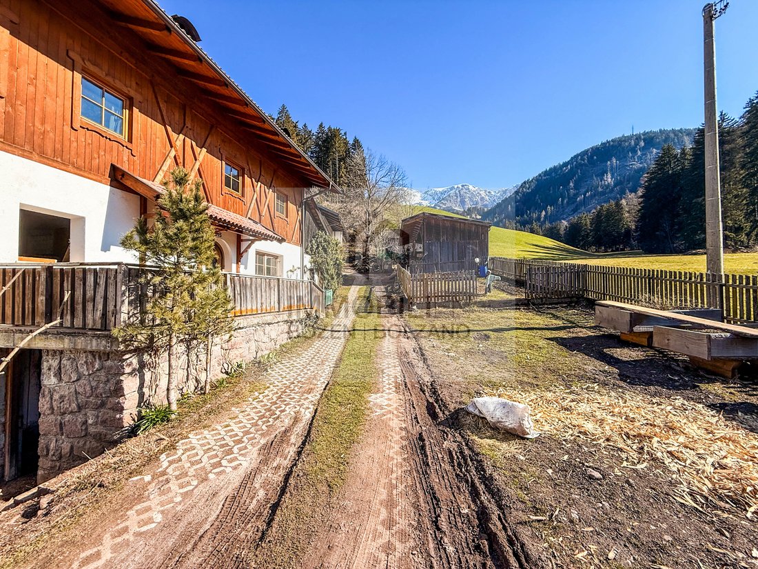 Sarntal, Trentino – Alto Adige/Südtirol, Italy 4 - 17917258