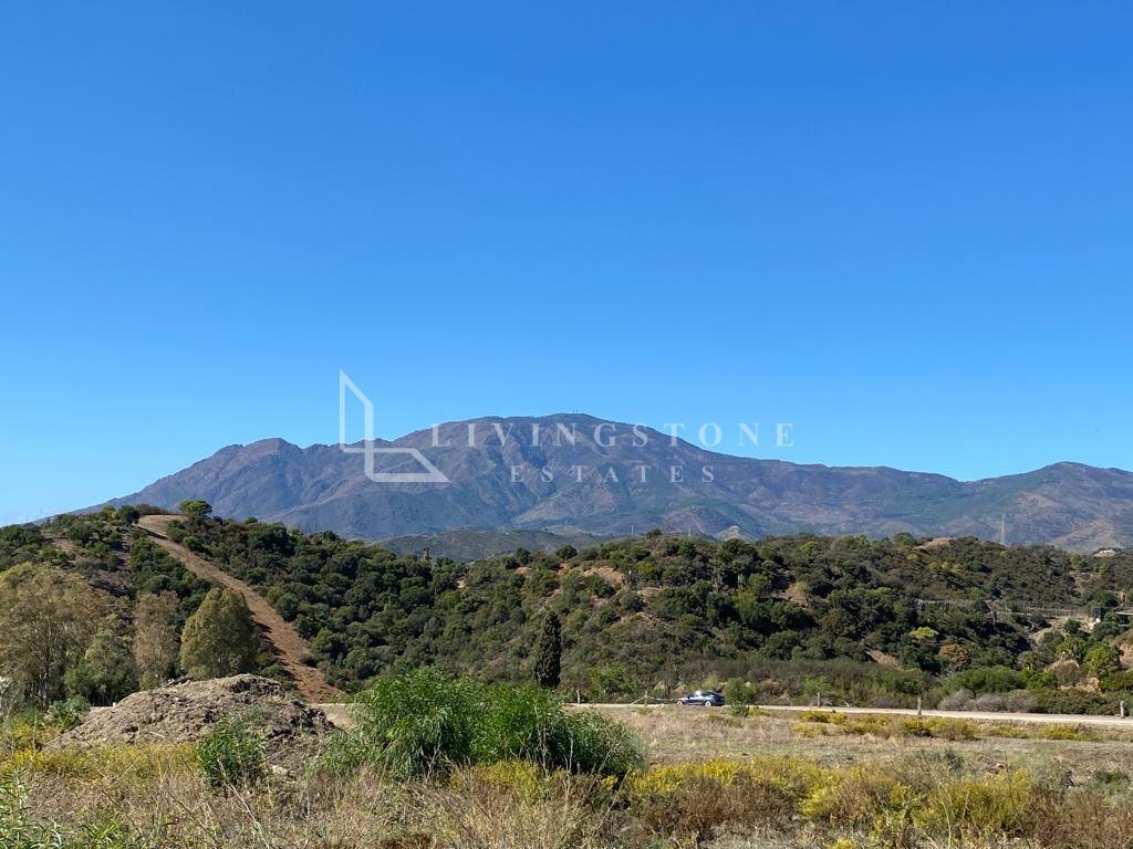 Land in Estepona, Andalusia, Spain 5 - 17919908