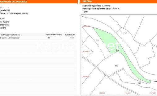 Land in l'Olleria, Valencian Community, Spain 1