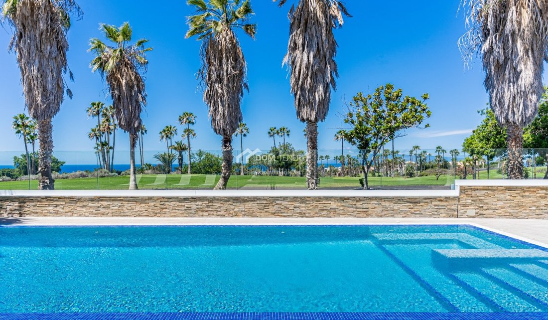 Villa in La Caleta, Adeje, Canary Islands 4 - 17918447