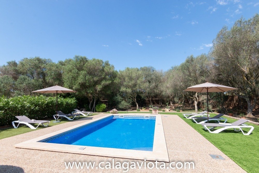 Villa in ses Salines, Balearic Islands, Spain 3 - 17919588