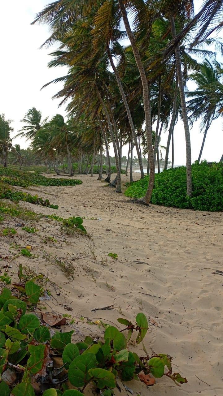 Juanillo, La Altagracia Province, Dominican Republic 3 - 17923437