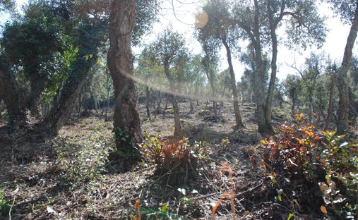 Land in Santa Cristina d'Aro, Catalonia, Spain 1