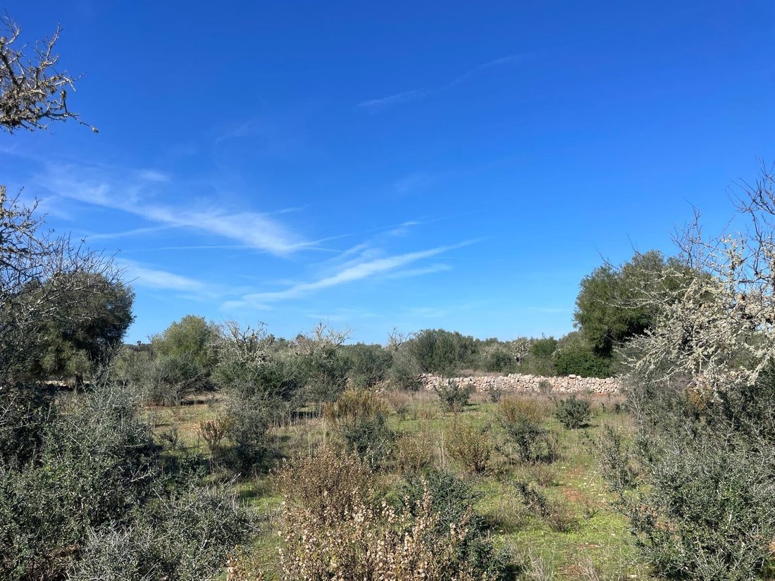 House in Campos, Balearic Islands, Spain 3 - 17921106