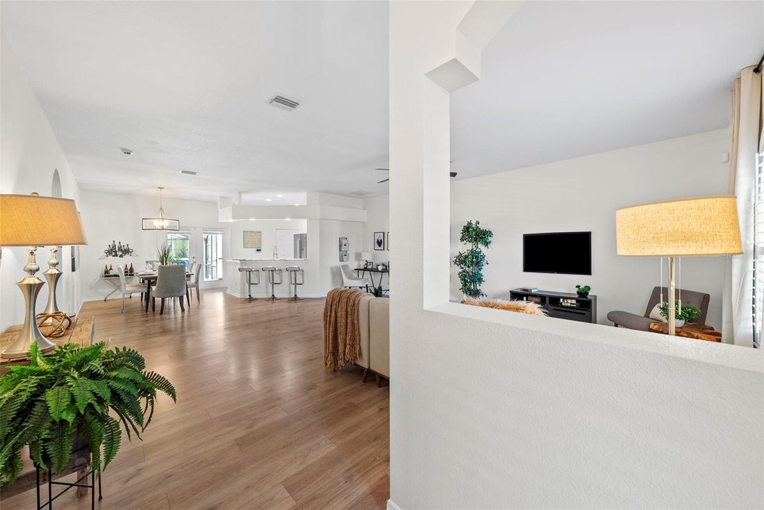 House in St. Petersburg, Florida, United States 3 - 17916541