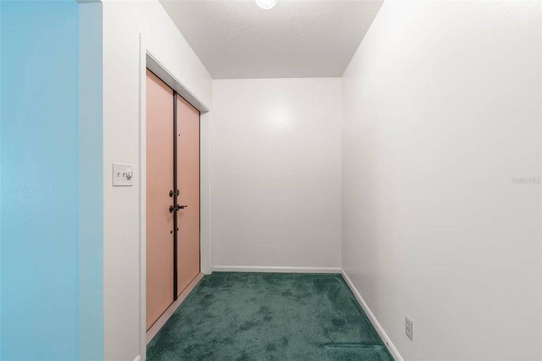 House in Tampa, Florida, United States 5 - 17916555