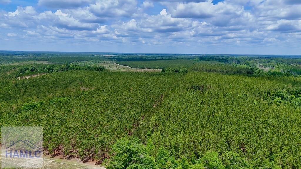 Land in McRae-Helena, Georgia, United States 3 - 17923838