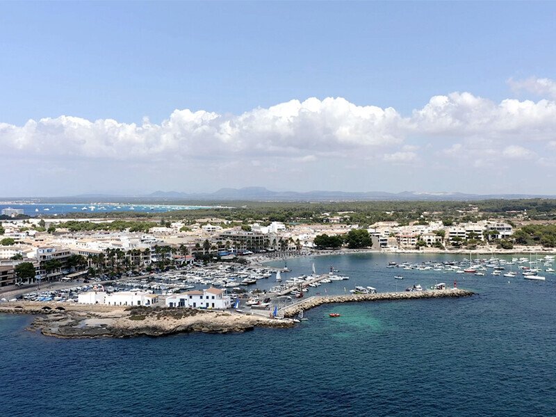 Apartment in ses Salines, Balearic Islands, Spain 3 - 17921812