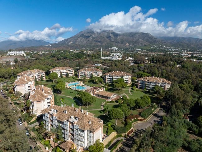 Apartment in Golden Mile, Andalusia, Spain 2 - 17920396