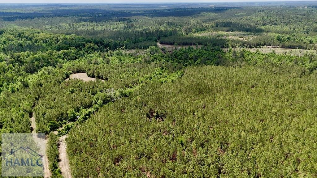 Land in McRae-Helena, Georgia, United States 2 - 17923838
