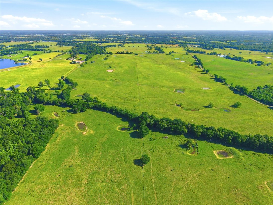 Land in Van, Texas, United States 3 - 17919047