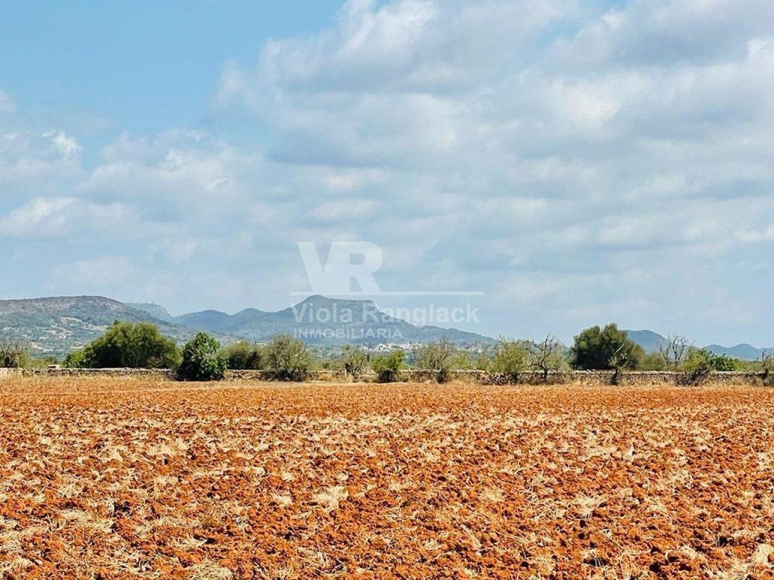 Land in Santanyi, Balearic Islands, Spain 2 - 17916411