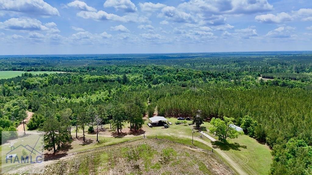 Land in McRae-Helena, Georgia, United States 4 - 17923838