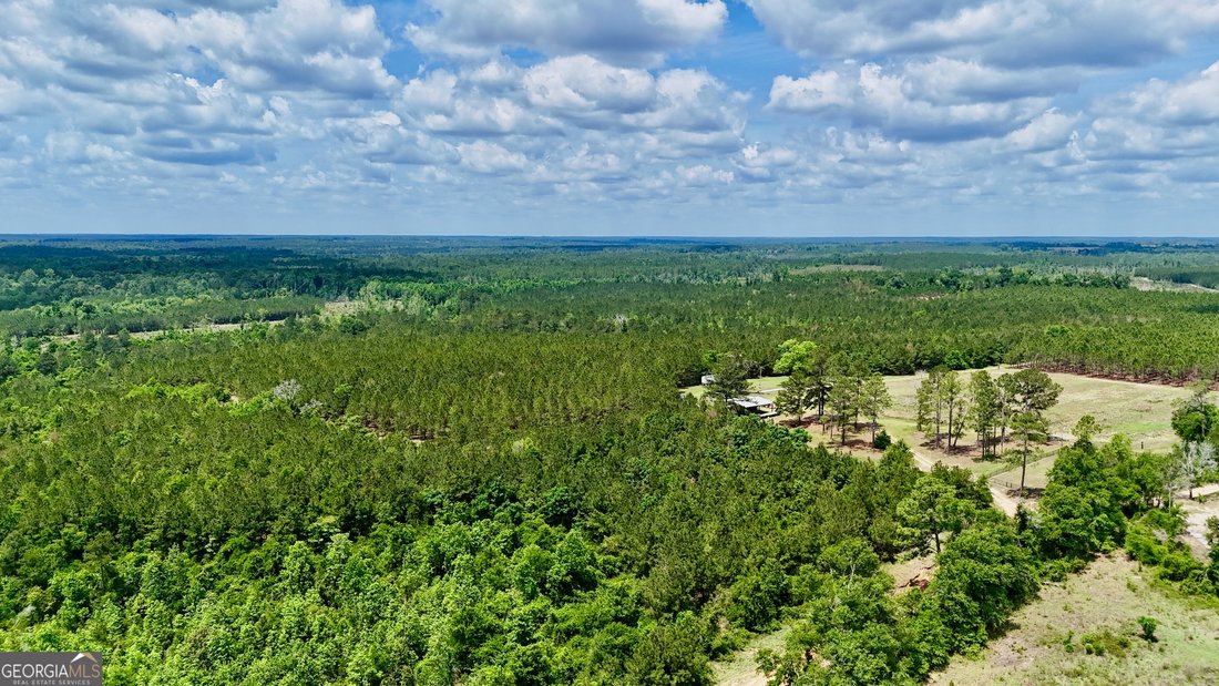 Farm Ranch in McRae-Helena, Georgia, United States 5 - 17923843
