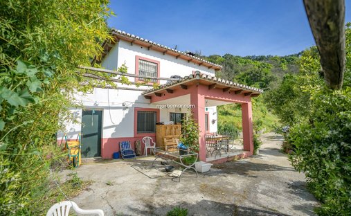 Finca in Genalguacil, Andalusia, Spain 1