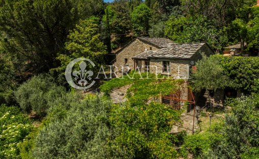 Azienda agricola a Centro, Cortona, Toscana 1