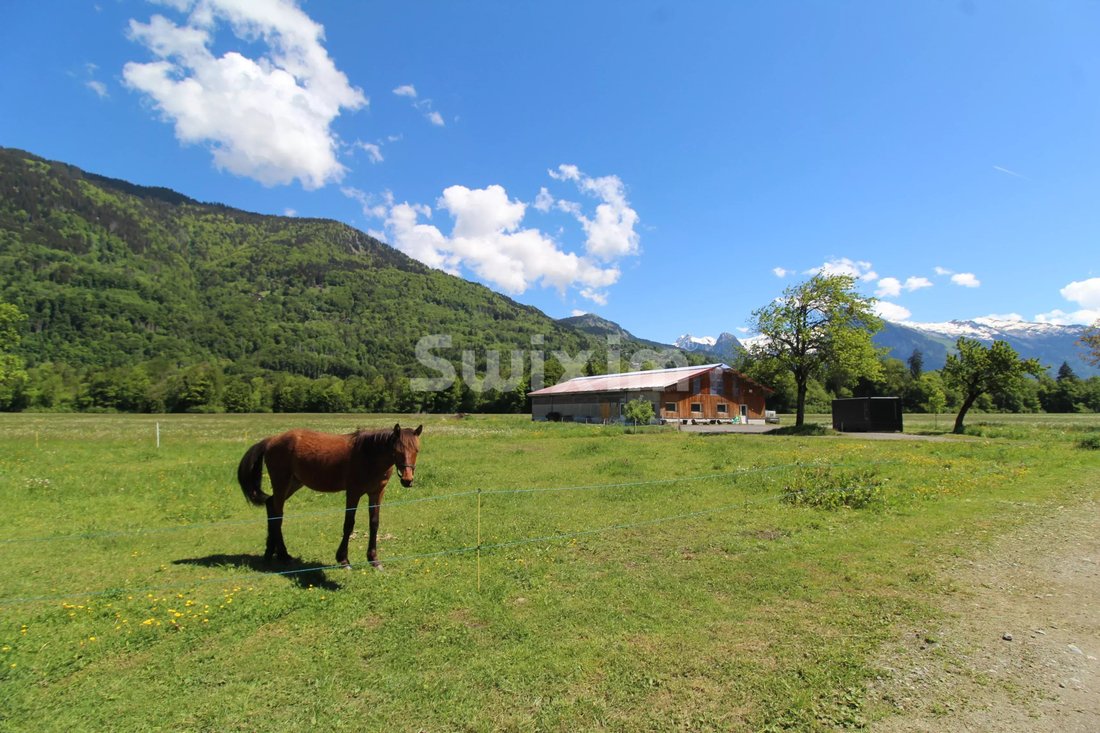 Farm Ranch in Morillon, Auvergne-Rhône-Alpes, France 1 - 17923748