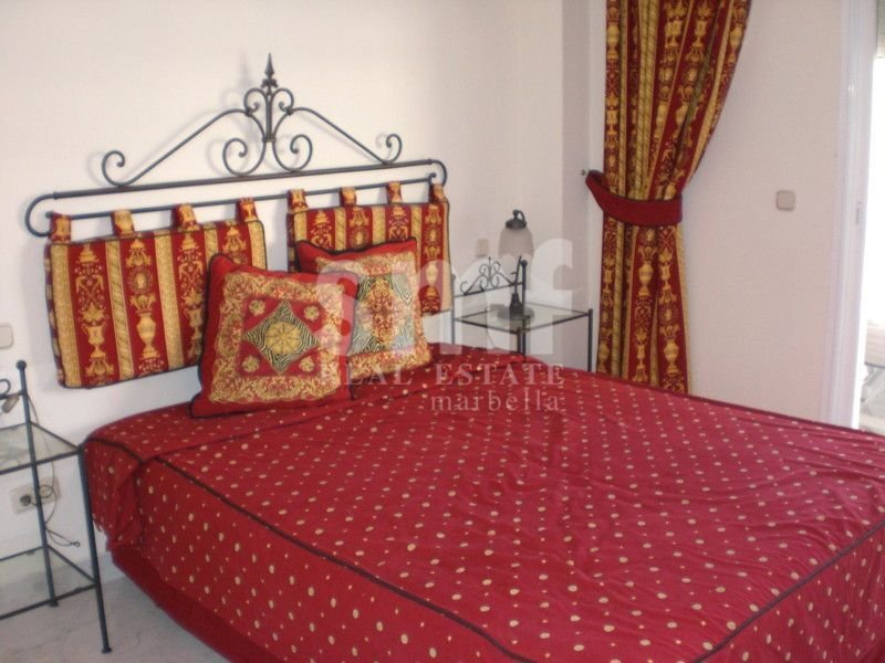 Apartment in Puerto Banus, Marbella, Spain 4 - 17921214