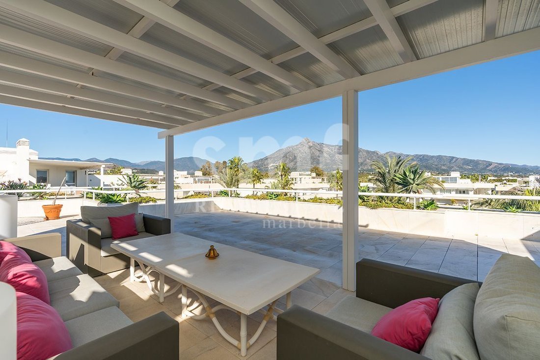 Apartment in Puerto Banus, Marbella, Spain 4 - 17920783