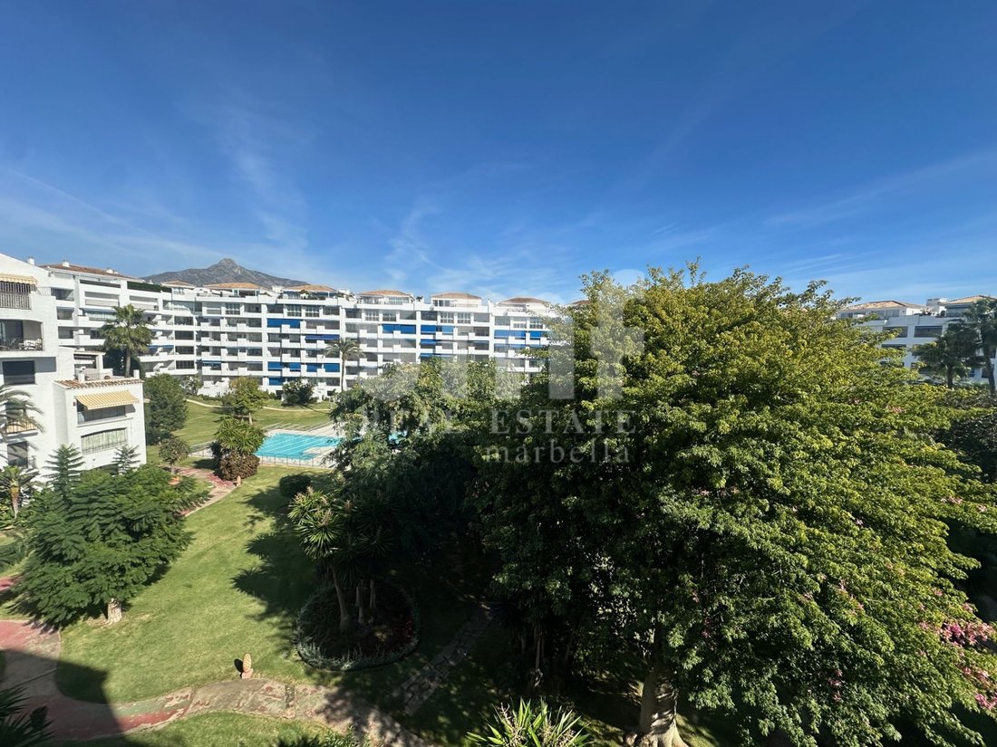 Apartment in Puerto Banus, Marbella, Spain 1 - 17921031