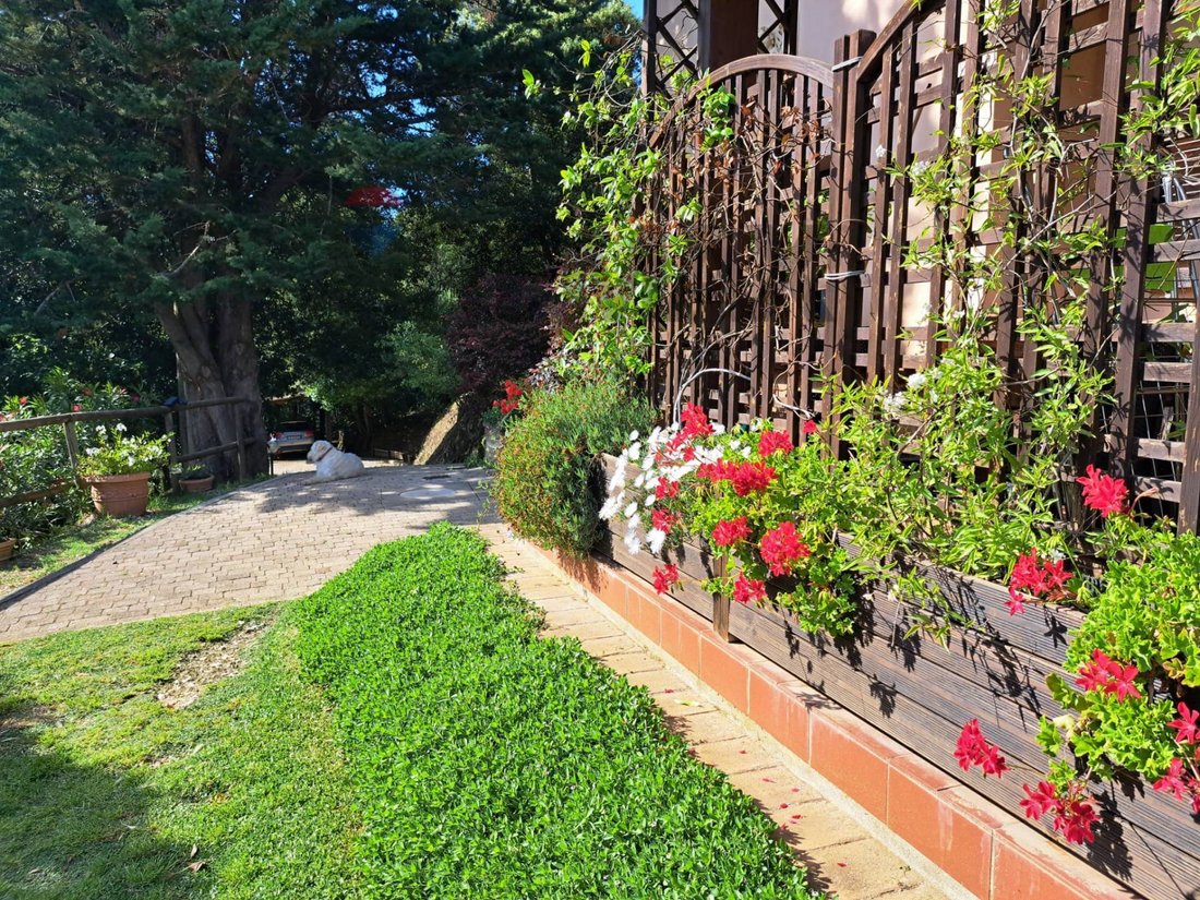 Country House in Castagneto Carducci, Tuscany, Italy 5 - 17924472