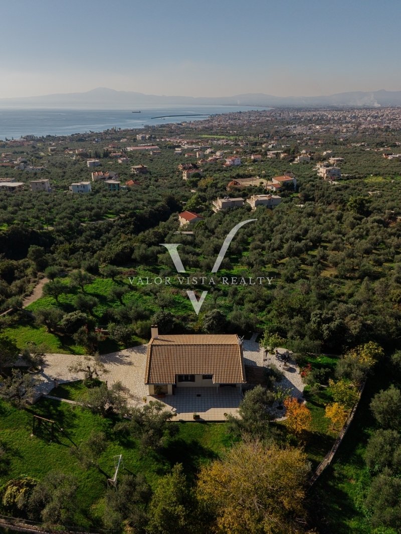 House in Verga Community, Peloponnese, Western Greece and the Ionian, Greece 2 - 17924475