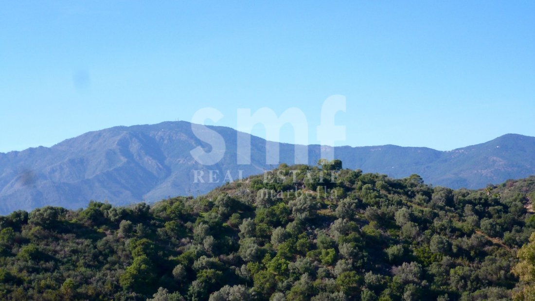 Land in Estepona, Andalusia, Spain 2 - 17919867