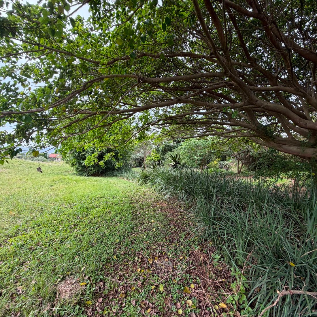 Land in Izinga Park, KwaZulu-Natal, South Africa 2 - 17923593