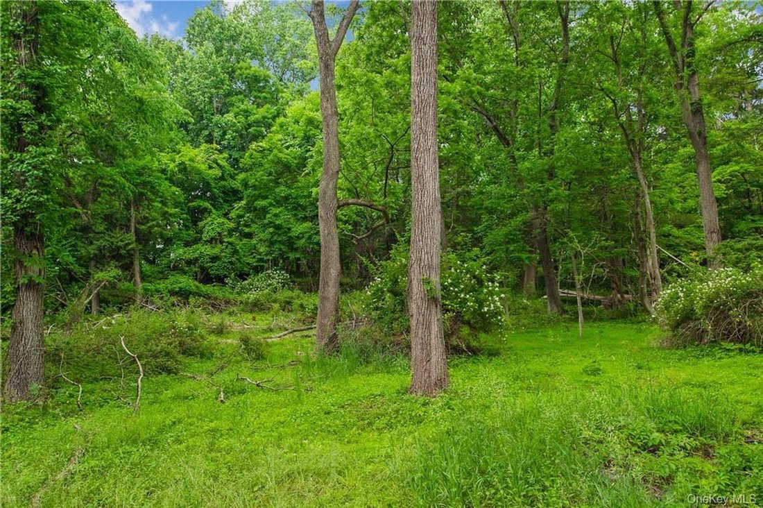 Land in Mount Kisco, New York, Vereinigte Staaten 1 - 17846515