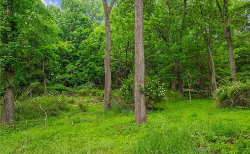 Terrain à Mount Kisco, État de New York, États-Unis 1